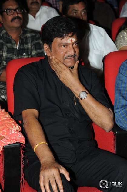 Srimanthudu-Movie-Thank-You-Function